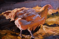 ST-Stay-Golden-Gold-Hen-1500